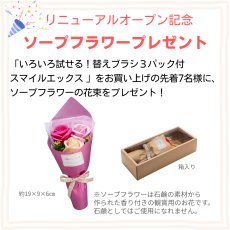 画像2: リニューアルOPEN記念特別セット【数量限定】【いろいろ試せる！替えブラシ３パック付】超音波歯ブラシ スマイルエックス AU-300D グレー  or ピンク(ST・MF・MH) (2)