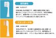 画像2: 【ネコポス限定】替えブラシ５パックセット　スマイルエックスAU-300D用 (2)
